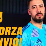 La verità sull'infortunio di Viviano